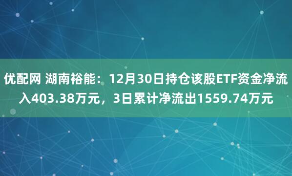 优配网 湖南裕能:12月30日持仓该股ETF资金净流入403.38万元,3日累计净流出1559.74万元